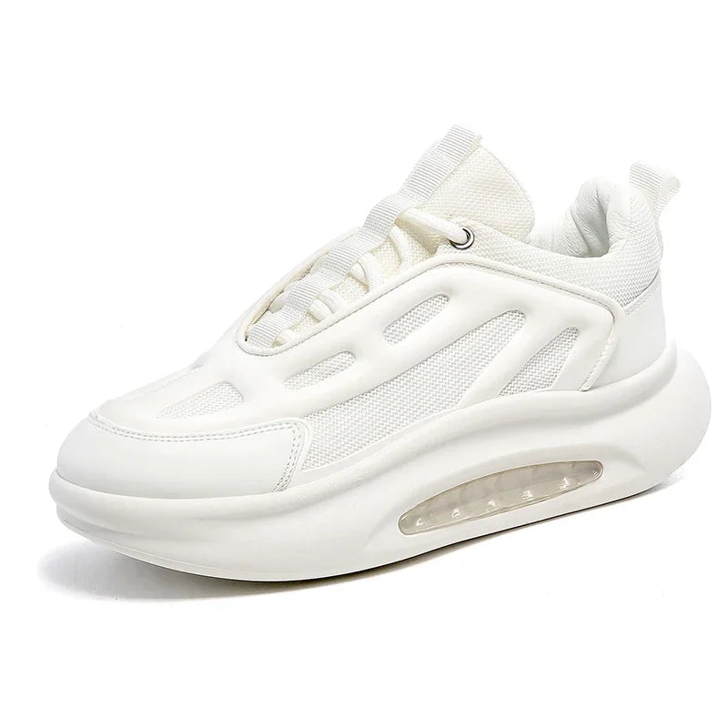 49701101011228|49701101043996|49701101076764|49701101109532|49701101142300|49701101175068